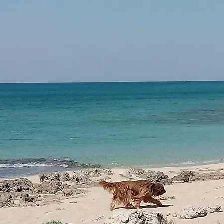אכסניה Stella Dell'urmo אבטראנה