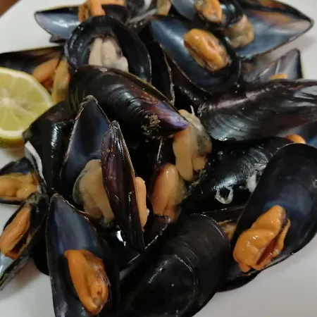 Stella Dell'urmo Jaktstuga *
